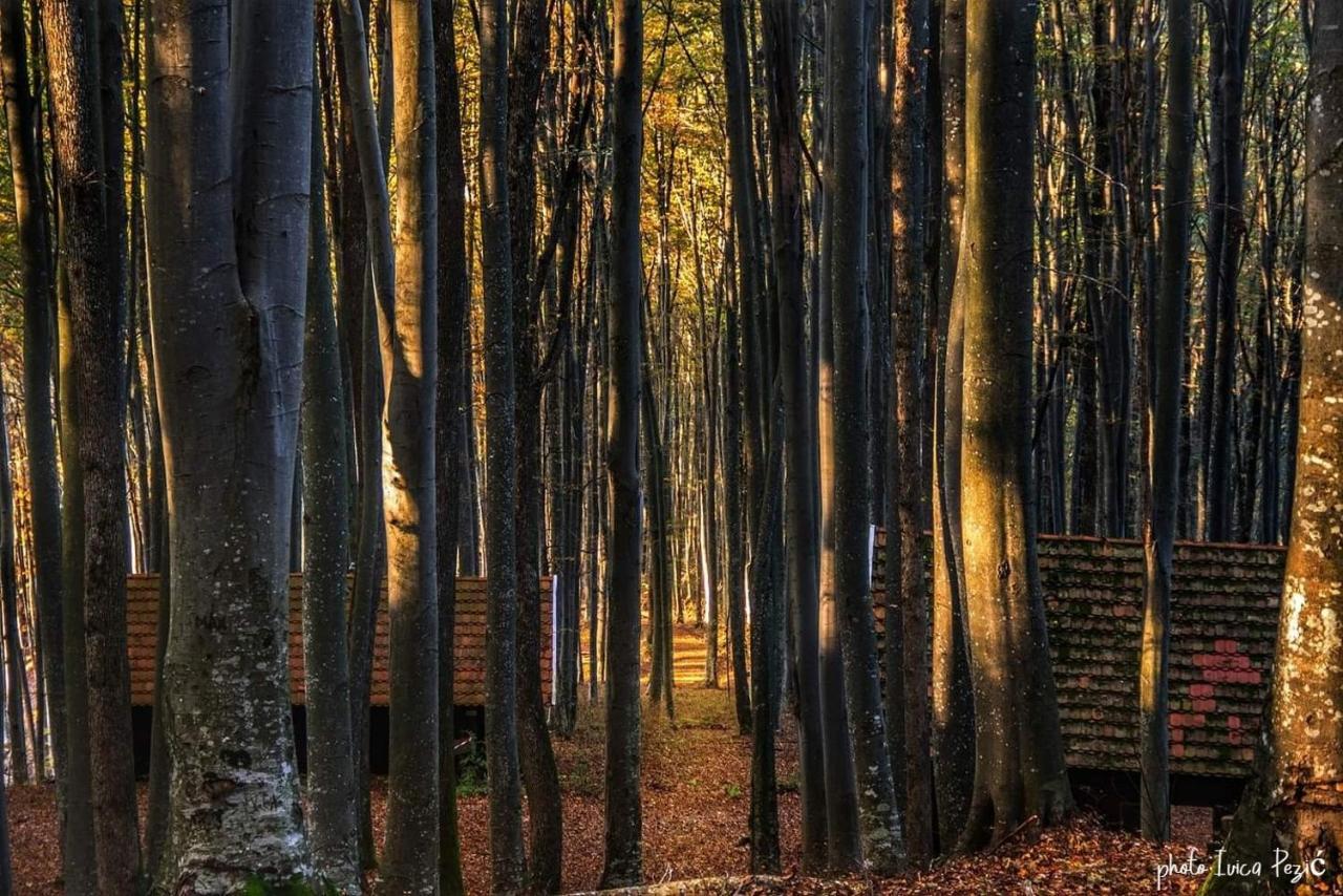 Maison d'hôtes Ruralna Kuca Za Odmor Kablarovo Brdo à Krnjak Extérieur photo