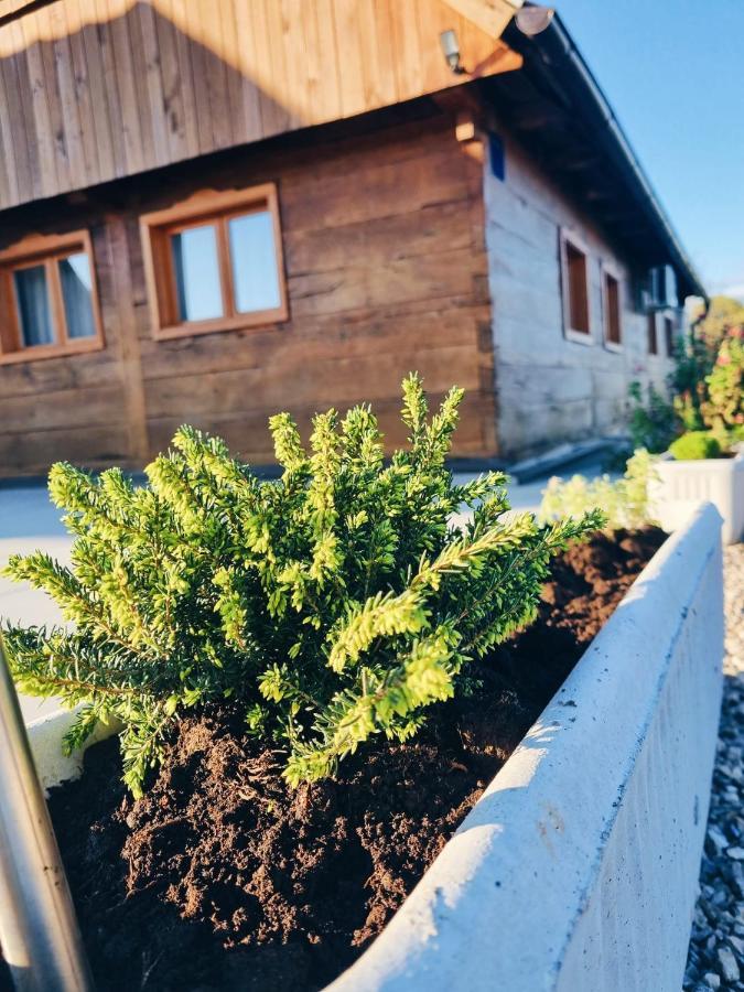 Maison d'hôtes Ruralna Kuca Za Odmor Kablarovo Brdo à Krnjak Extérieur photo